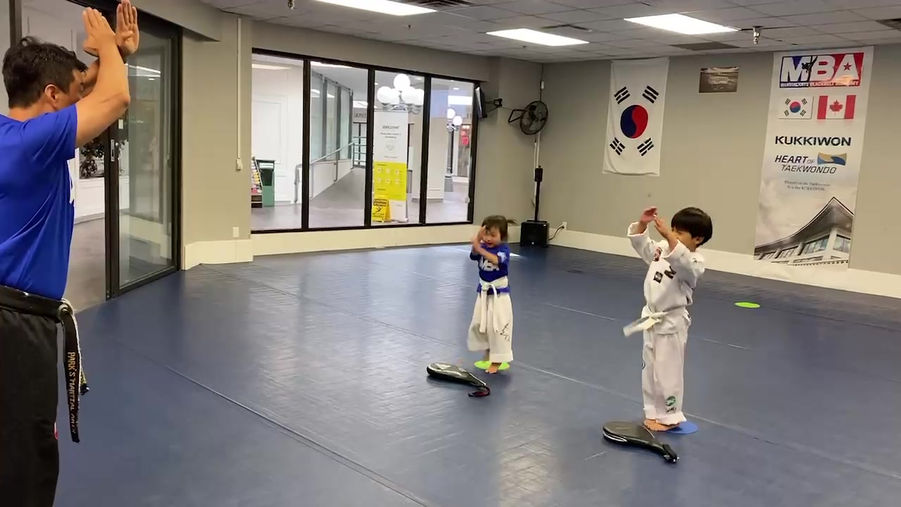 Tiny tiger Class